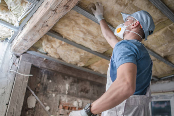 Best Eco-Friendly Insulation in White Cloud, MI