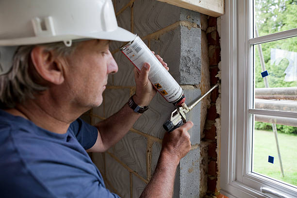 Best Geographic-Specific Insulation Services in White Cloud, MI