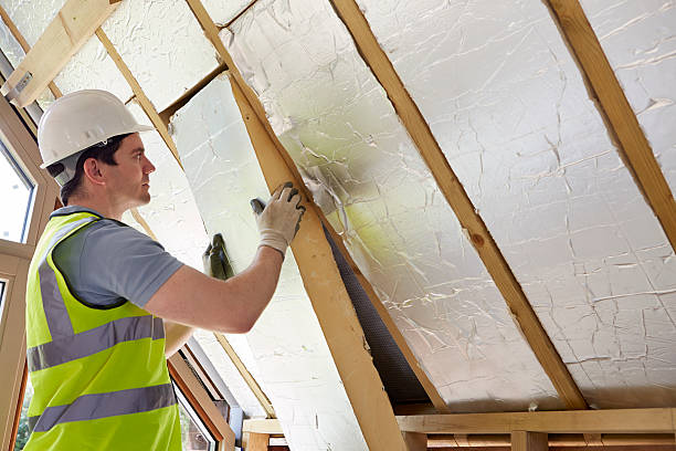 Best Insulation Maintenance and Repair in White Cloud, MI