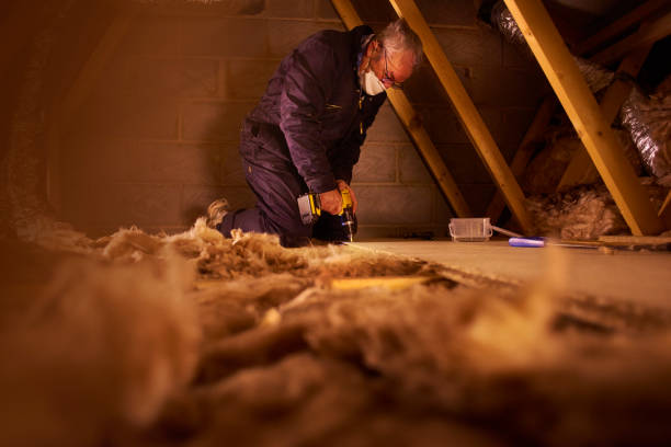 Best Geographic-Specific Insulation Services in White Cloud, MI